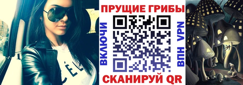 продажа наркотиков  Слюдянка  Галлюциногенные грибы Cubensis 